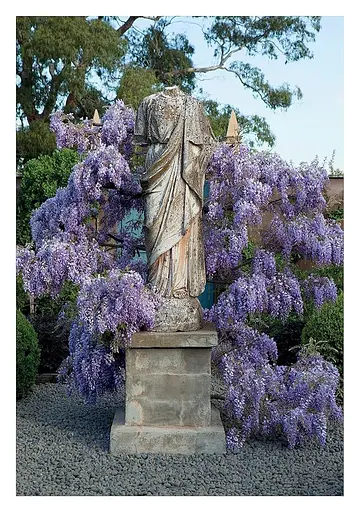 A Life in Garden Design - фото 8