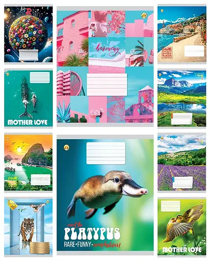 Зошити учнівські 48 аркушів лінія Тверда Мікс 4, 10 шт. в упаковці