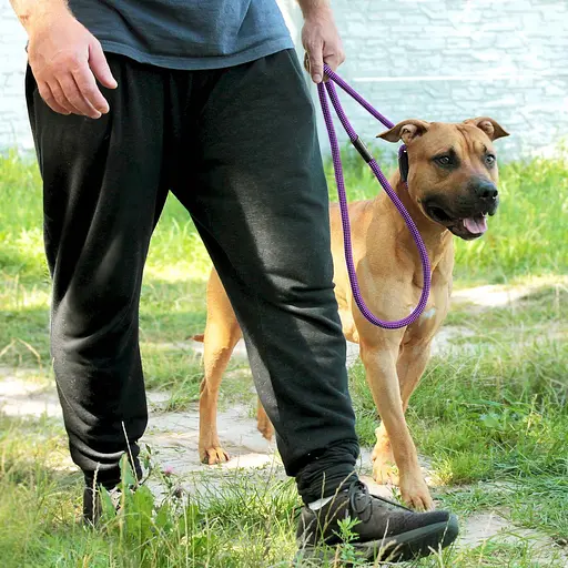 Поводок-удавка для собак Barksi Active (длина 183 см диаметр 12 мм) шахматы черно-фиолетовый - фото 7