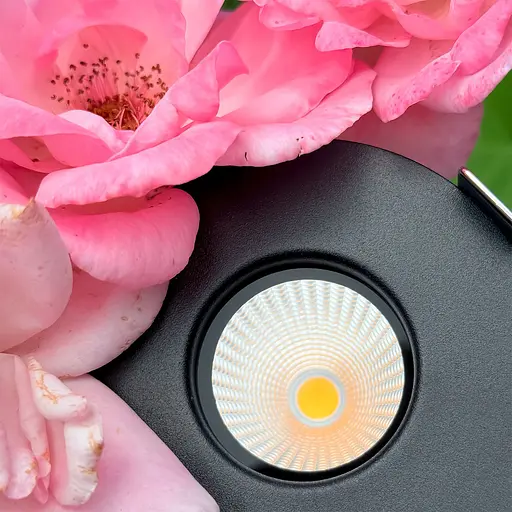 Точечный светильник Skarlat RSL74249 10W BK 4000K - фото 7