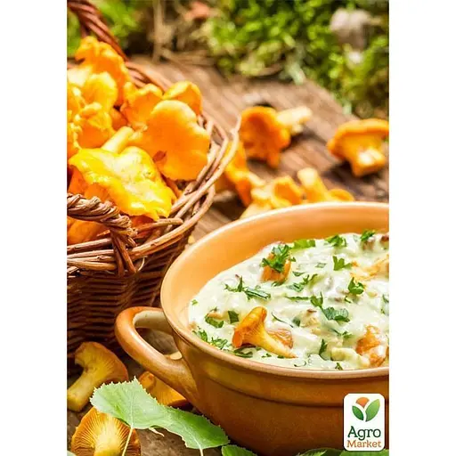 Сухий зерновий міцелій "Лисичка жовта" 100г (45192) - фото 2