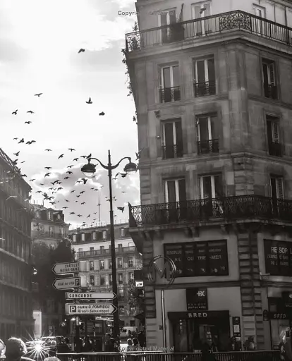 Paris Blues - фото 7