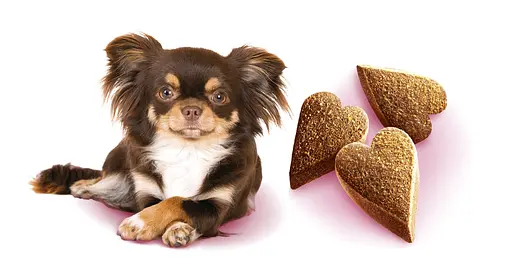 Ласощі Brit Care Mini Treats Mood для собак малих порід проти стресу з ягням смак ванілі 50 г - фото 2