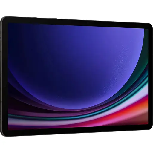 Планшет Samsung Galaxy Tab S9 12/256GB Wi-Fi Graphite (SM-X710NZAE) - фото 6