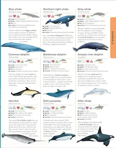 Animals A Children's Encyclopedia - фото 5