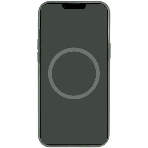 Чохол Silicone case AAA with Magsafe and Animation для Apple iPhone 12 Pro Max 6.7 Зелений/Cyprus Green - фото 4