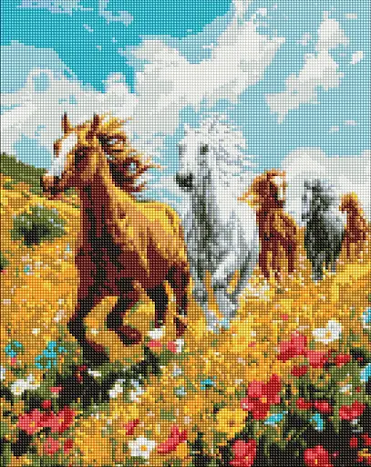 Набор с алмазной мозаикой Полевая гармония Ideyka AMO8017, 40x50 см