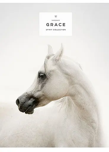 Комплект 4 шт загальних зошитів. Зошит Школярик А5 80 арк. у лінію 5061 4823088207750 - фото 5