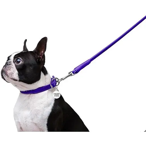 Повідець для собак Waudog Glamour шкіряний круглий, фіолетовий - фото 6