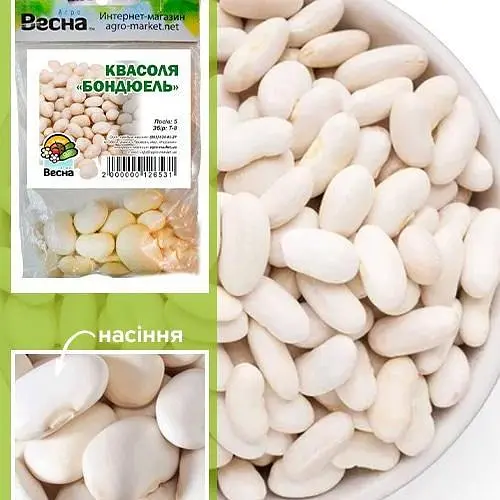 Квасоля "Бондюель" (Зипер) ТМ "Весна" 5г (21760) - фото 1