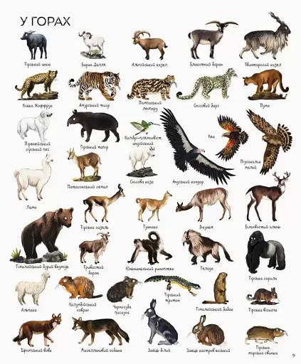 1000 назв тварин - фото 7