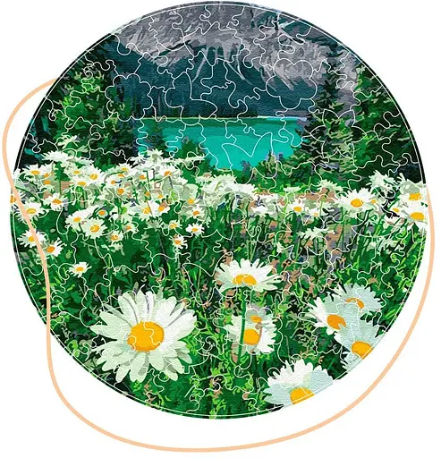 Дерев’яний пазл в коробці Ромашки біля гір - фото 1