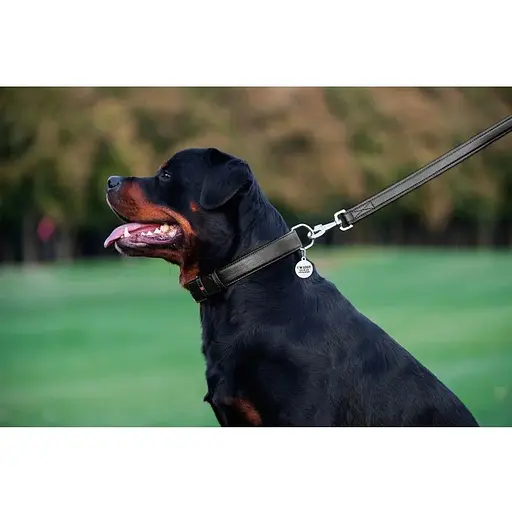 Повідець для собак Waudog Glamour шкіряний, чорний - фото 8