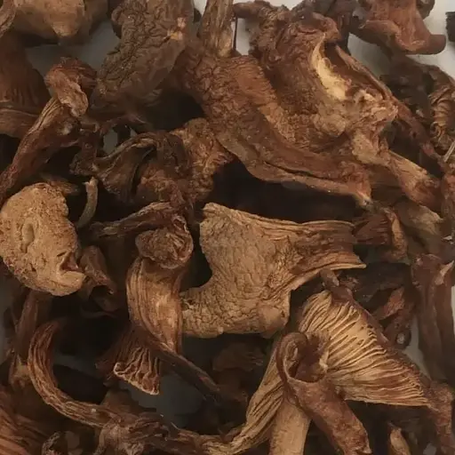 100 г лисички сушені гриби - свіжий урожай