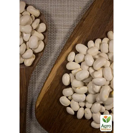 Бобы "Белые" ТМ "Весна" 10г (22321) - фото 2