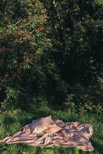 Комплект постельного белья сатин Tea rose розовый - двухспальный - фото 7