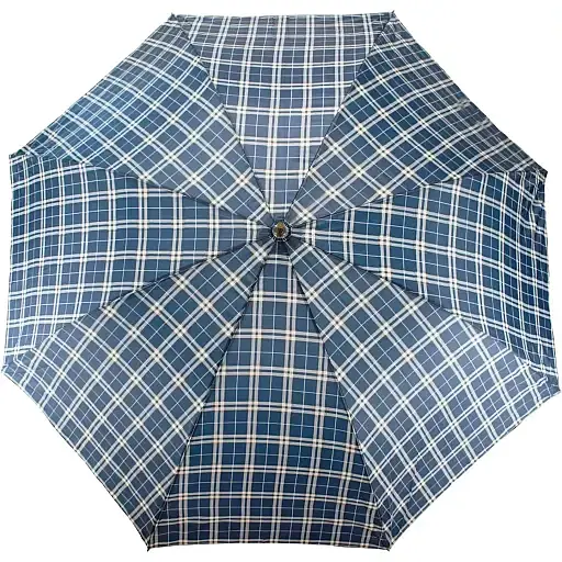 Зонтик Semi Line Grid Blue 2502 (DAS303538) - фото 2
