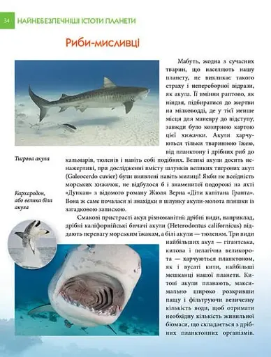 Енциклопедія для допитливих А5 : Найнебезпечніші істоти планети (Українська, 01 КРЕЙДОВАНА ) - фото 6