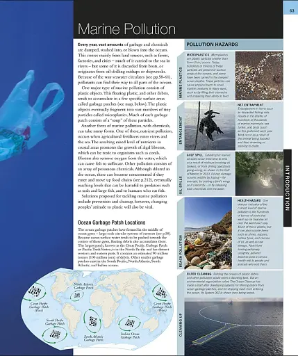 Ocean. The Definitive Visual Guide - фото 9