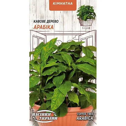 Насіння Кавове дерево Арабіка Насіння України кімнатне 1 г (746300)