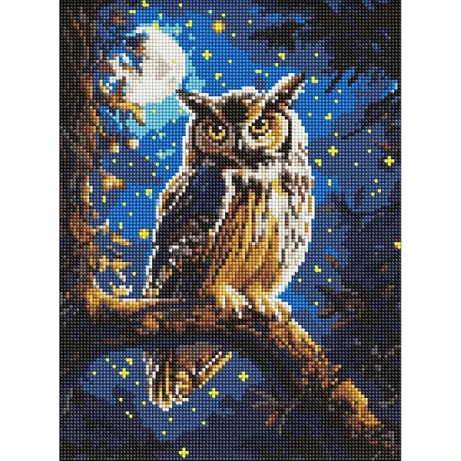 Алмазная мозаика Ночная сова AMO8160, 30x40 см