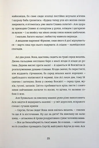 Я не знаю, як про це писати. Збірка оповідань та есеїв - фото 21