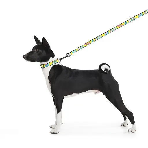 Поводок для собак Waudog Nylon нейлоновый, рисунок "Год и Морти 1", L-XXL - фото 4