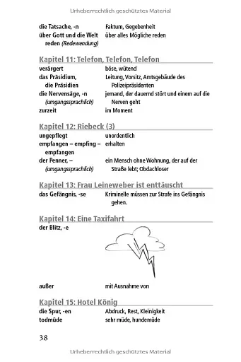 Die ganze Wahrheit. Carsten Tsara Hat Besuch Lesehefte B1. - фото 5