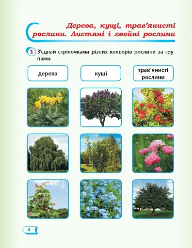 Я досліджую світ. 1 клас. Робочий зошит. Частина 2 - фото 5