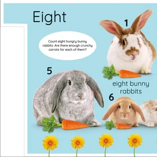My First Numbers: Let's Get Counting! - фото 4