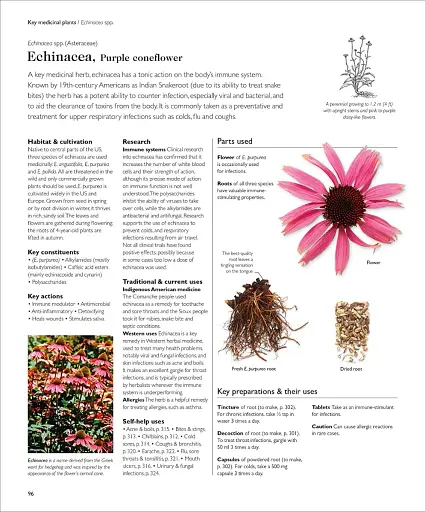 Encyclopedia of Herbal Medicine - фото 7