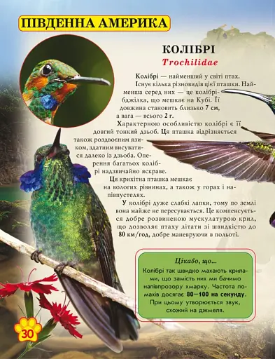 Світ навколо нас. Дикі тварини - фото 5