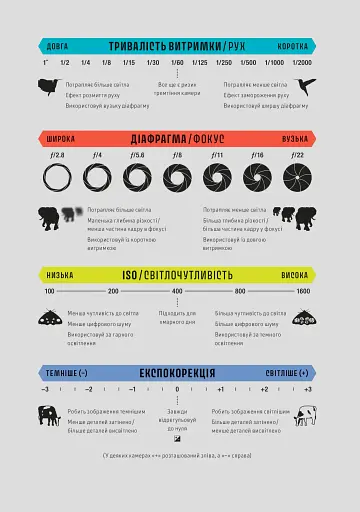 Як знімати неймовірні фотографії - фото 8