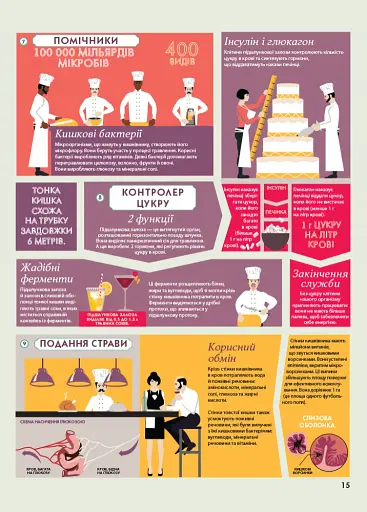 Крутезна інфографіка : Анатомія - фото 15