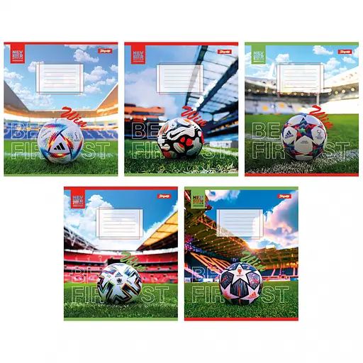 Зошити учнівські 48 аркушів лінія 1B Win, 10 шт. в упаковці