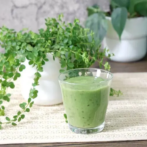 Смузі Unimat Riken з молочнокислими бактеріями, насіння чіа та авокадо 140 г - фото 2