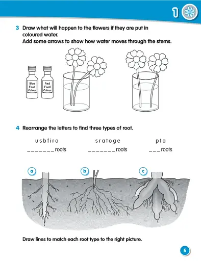 Macmillan Science. Level 3. Workbook - фото 4