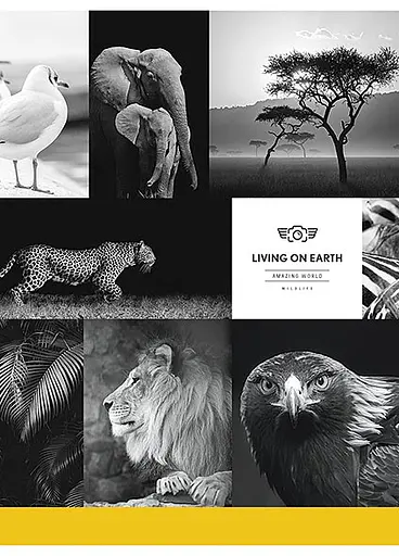 Комплект 4 шт загальних зошитів. Зошит Школярик А5 80 арк. у лінію 5057 4823088207736 - фото 2