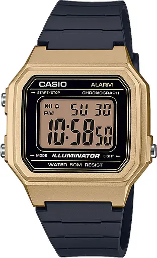 Часы Casio Timeless Collection W-217HM-9AVEF
