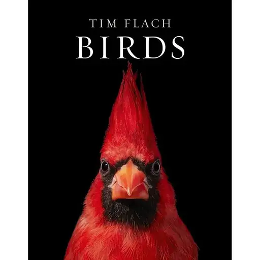 Birds. Photographs - фото 1