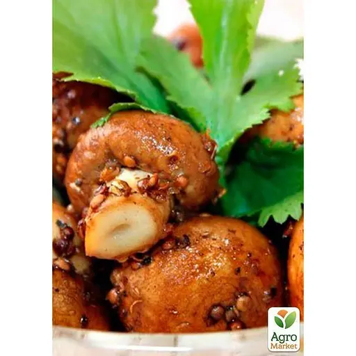 Міцелій на дубових брусочках "Шиитаке ТЛ-4080" 10шт (45305) - фото 2