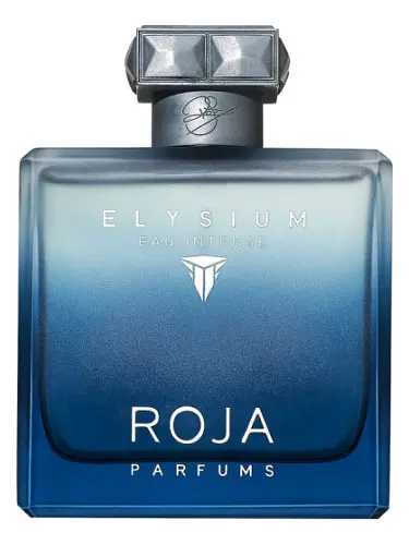 Оригинал Roja Parfums Elysium Pour Homme Eau Intense 100 мл ТЕСТЕР парфюмированная вода - фото 1
