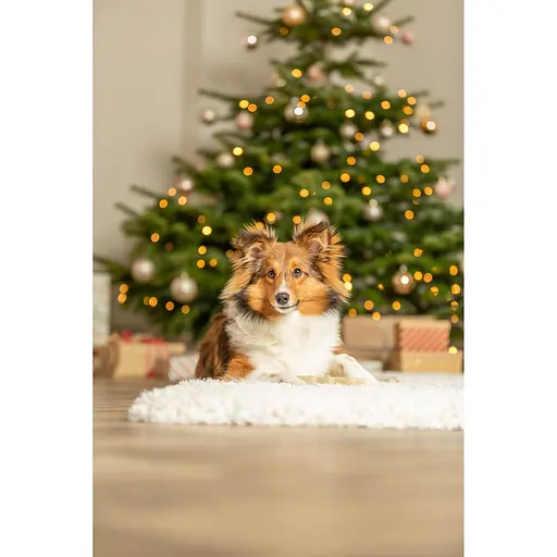 Игрушка Trixie для собак Рождественская елка латекс 13 см - фото 4