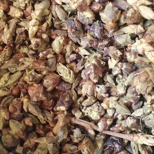 100 г сирень обыкновенная почки сушеные - свежий урожай