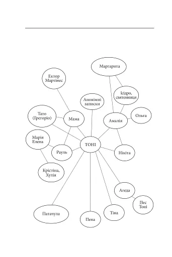 Стрижі - фото 3