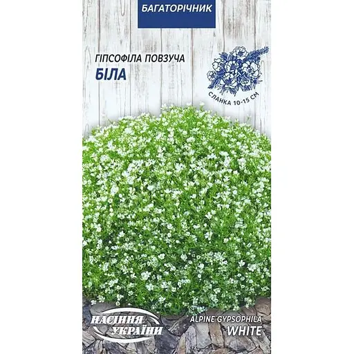 Насіння Гіпсофіла повзуча біла Насіння України 0.1 г (757300)