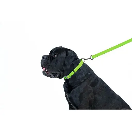 Повідець для собак Waudog Waterproof водостійкий L-XXL, салатовий - фото 5
