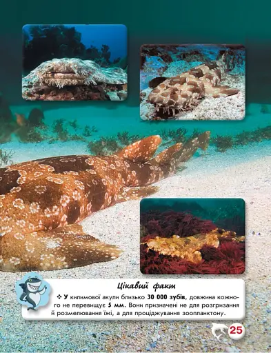 Світ навколо нас. Акули - фото 5