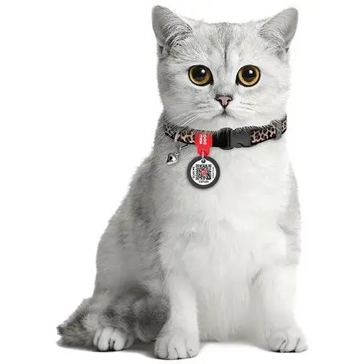 Нашийник для котів нейлоновий WAUDOG Nylon з QR паспортом малюнок Леопард пластиковий фастекс XS Ш 10 мм Дов 20-30 см - фото 3