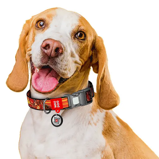 Нашийник для собак нейлоновий Waudog Nylon з QR-паспортом "Швидкість Флеша" пластиковий фастекс S Ш 15 мм Д 25-35 - фото 6